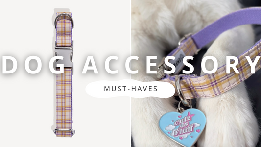 Must-have Dog Accessories | PawrTalk