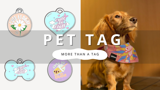 More Than A Pet Tag | PawrTalk