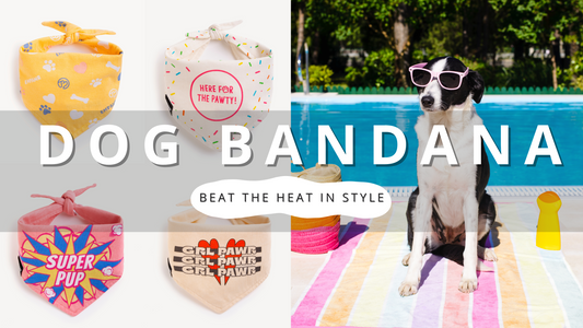 Summer Style with Dog Bandana | PawrTalk