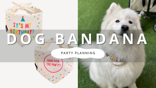 Dog Party Planning | PawrTalk