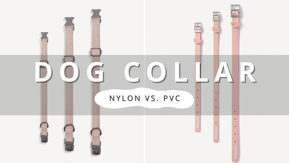 Nylon Or PVC Dog Collars? | PawrTalk
