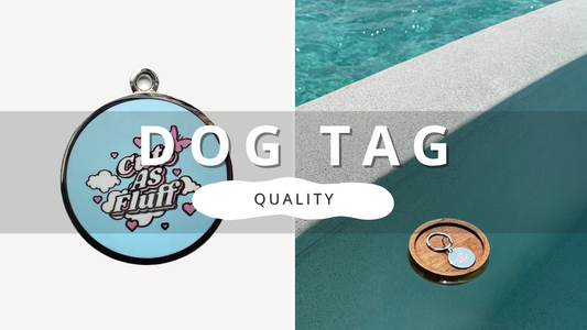 Why Quality Custom Dog ID Tag? | PawrTalk