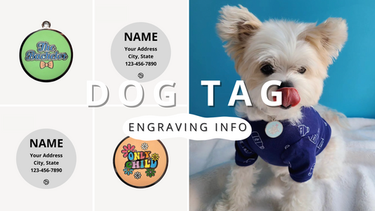 What to Engrave on Your Dog ID Tag | PawrTalk