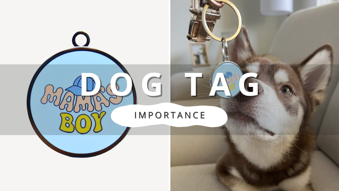 The Importance of Personalized Pet Tags | PawrTalk