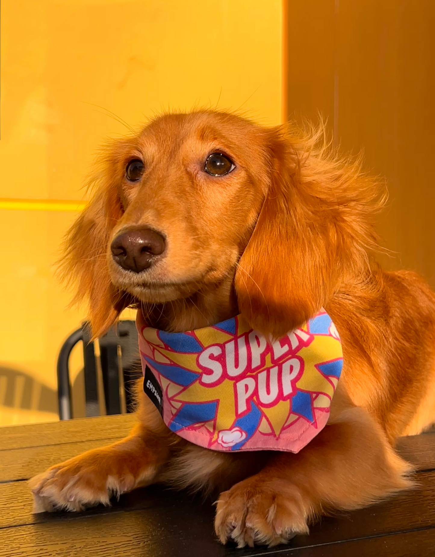 reversible dog bandana - super pup girl