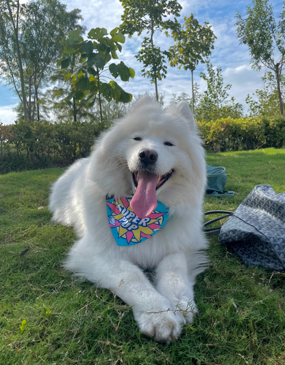 reversible dog bandana - super pup boy