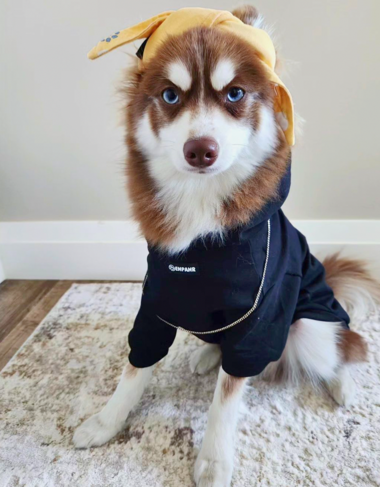 only child dog hoodie