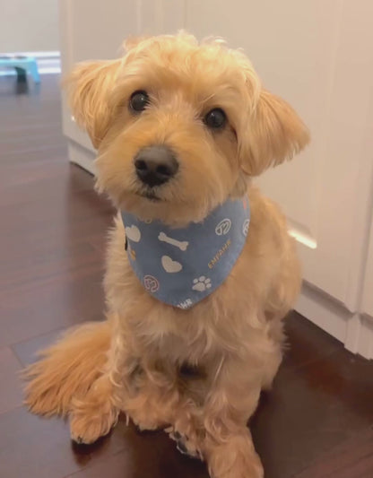 reversible dog bandana - baby blue