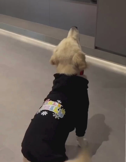 only child dog hoodie