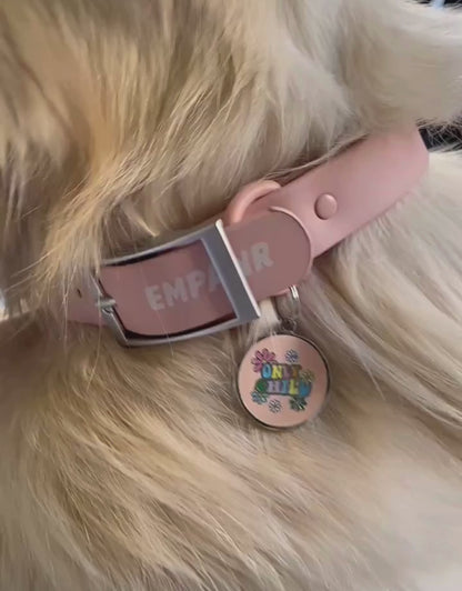 🌼"only child" pet ID tag