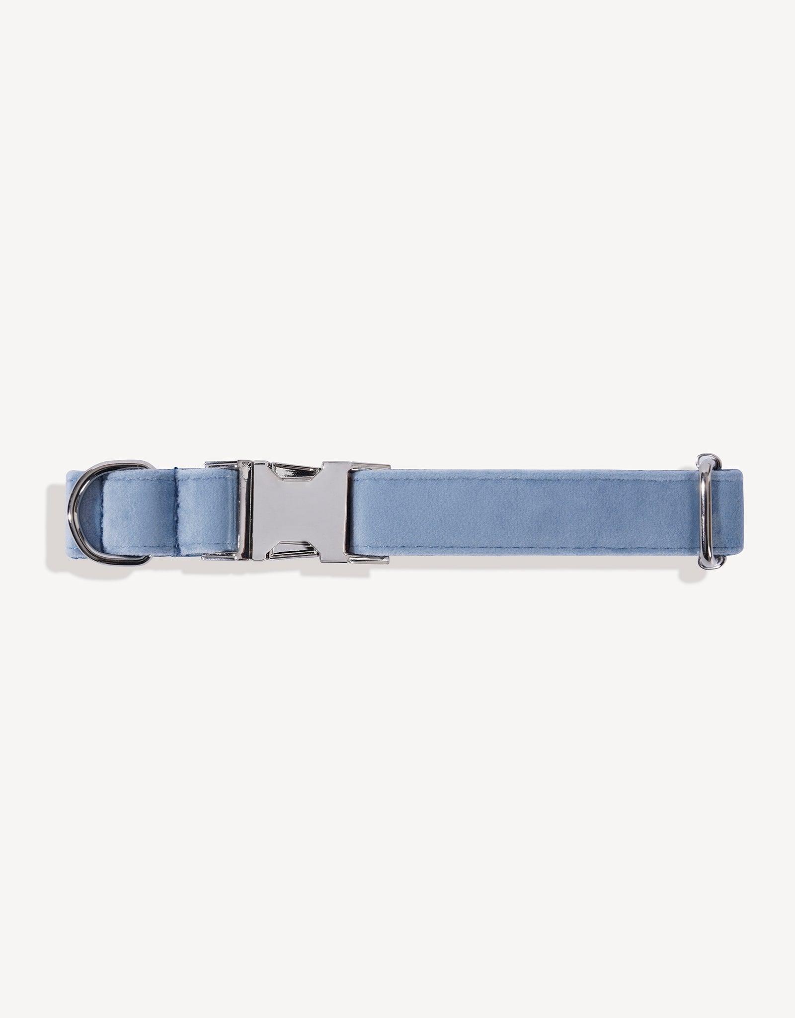 Diamond Blue Royal Luxe Dog Collar - Empawr