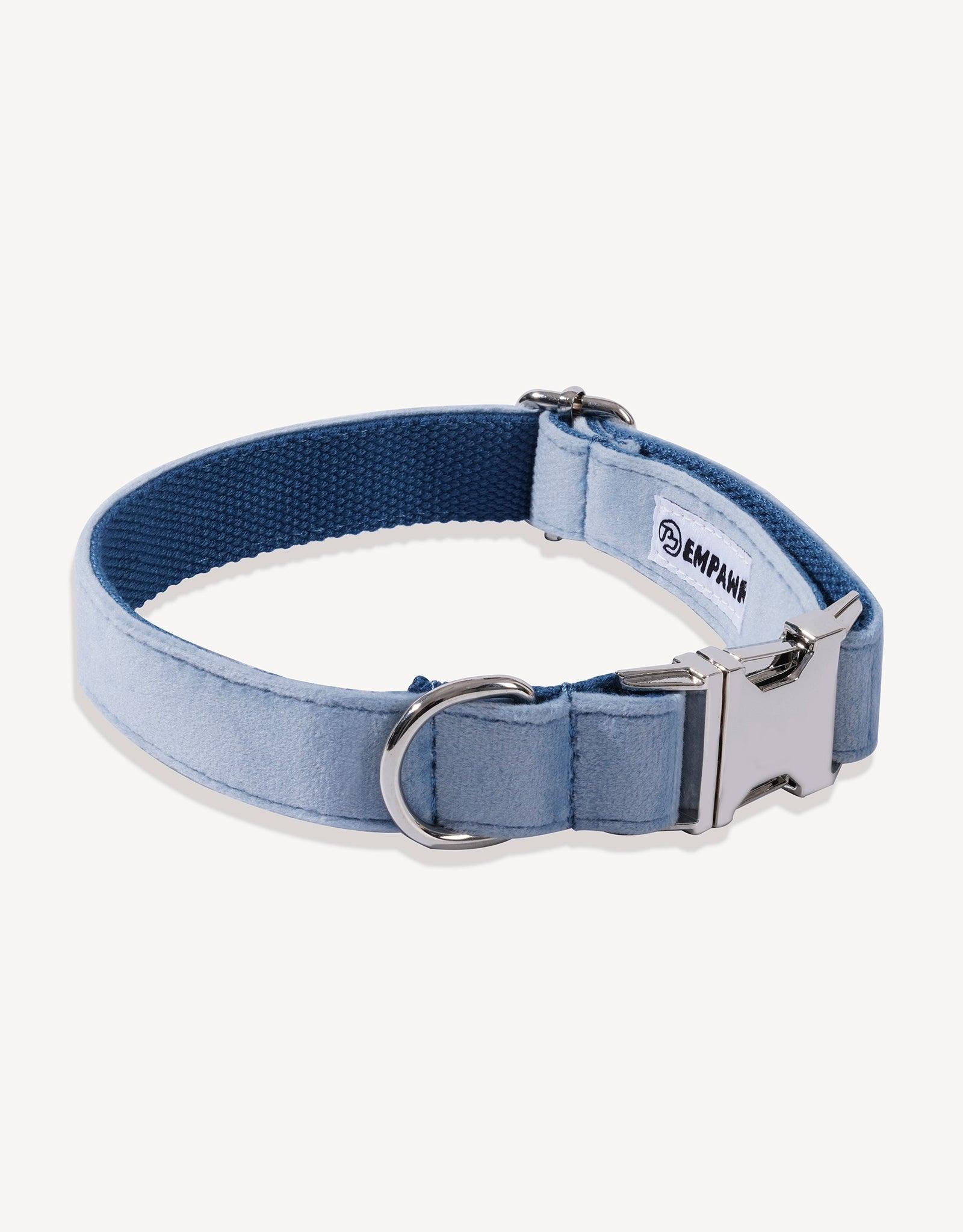 Diamond Blue Royal Luxe Dog Collar - Empawr