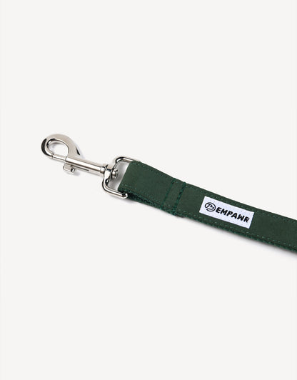 royal luxe dog leash - emerald green