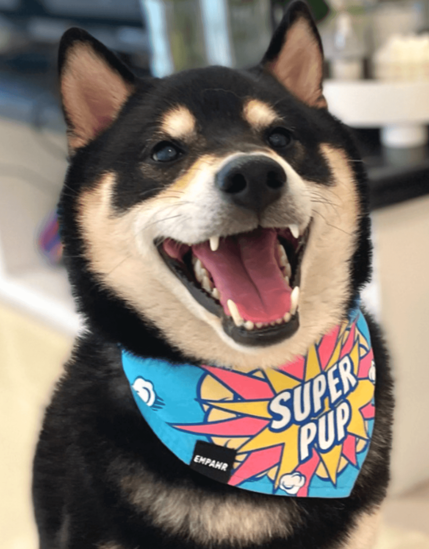 Cyan Blue Super Pup Dog Bandana - Empawr