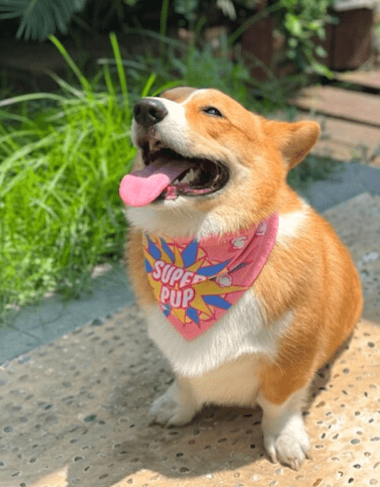 Coral Pink Super Pup Dog Bandana - Empawr