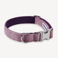 French Violet Purple Royal Luxe Dog Collar - Empawr