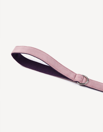 royal luxe dog leash - french violet