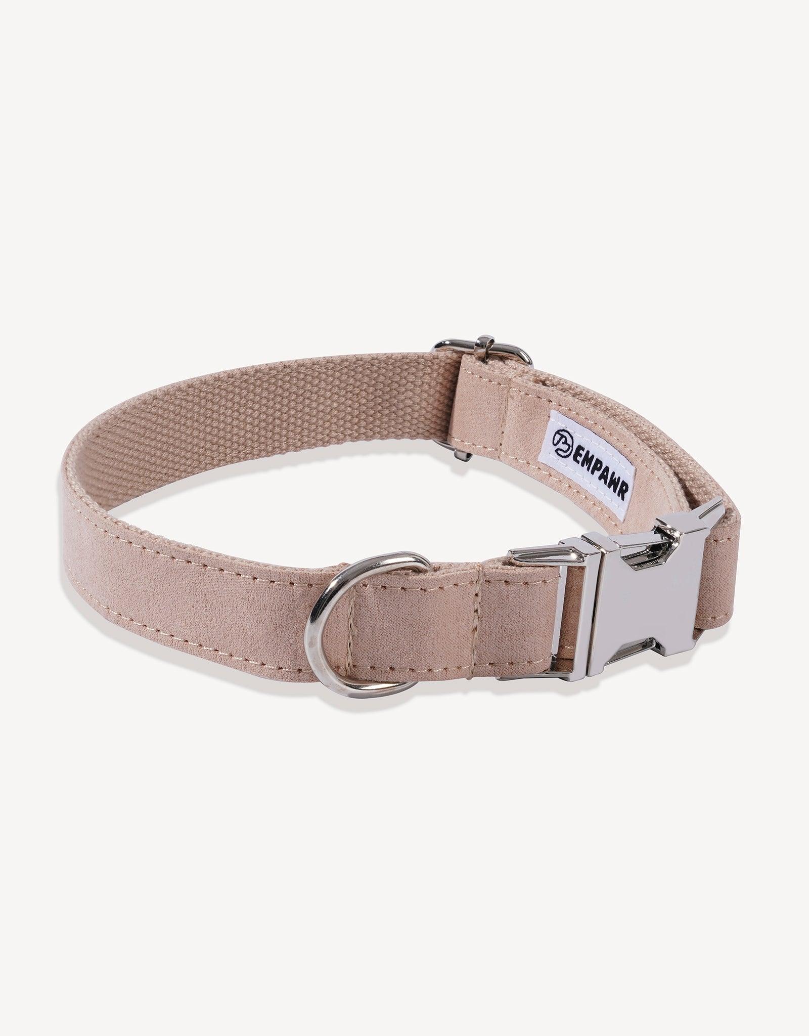 Pearl White Royal Luxe Dog Collar - Empawr