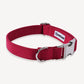 Ruby Red Royal Luxe Dog Collar - Empawr